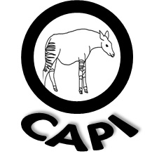 OCAPI : Archives activités